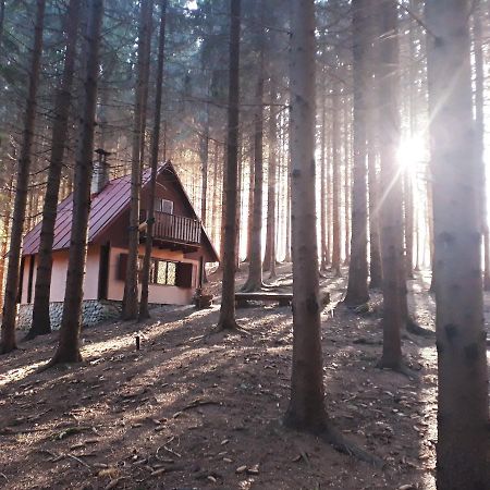 Chata Adavy Liptovsky Jan Bagian luar foto