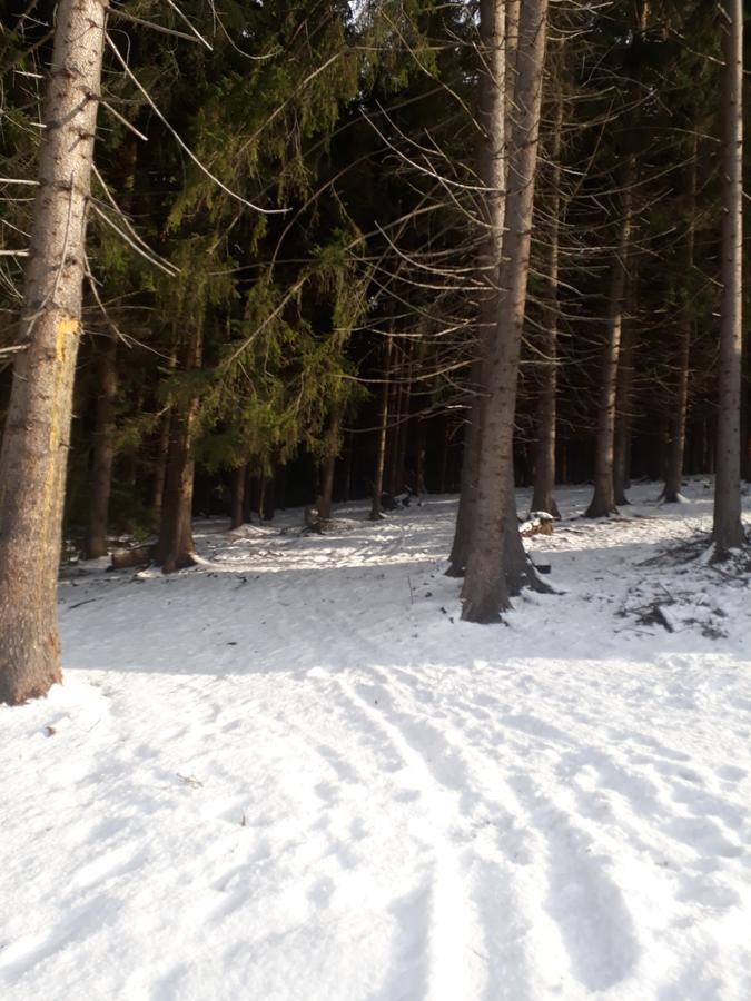 Chata Adavy Liptovsky Jan Bagian luar foto