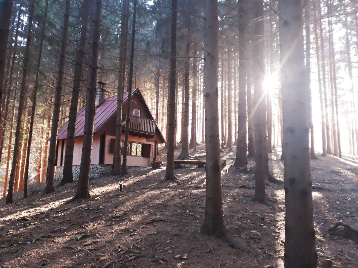 Chata Adavy Liptovsky Jan Bagian luar foto