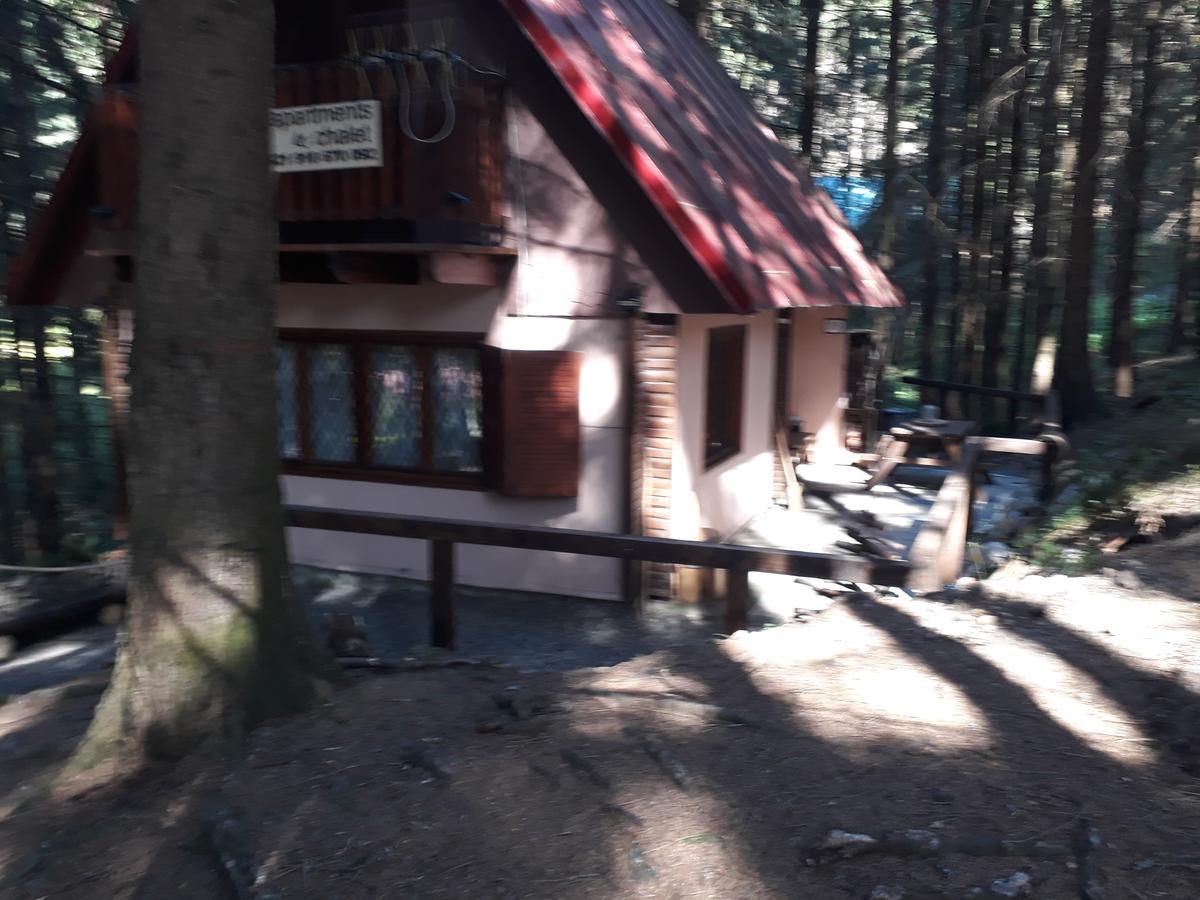 Chata Adavy Liptovsky Jan Bagian luar foto