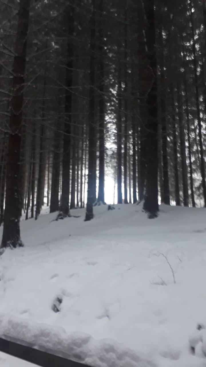 Chata Adavy Liptovsky Jan Bagian luar foto